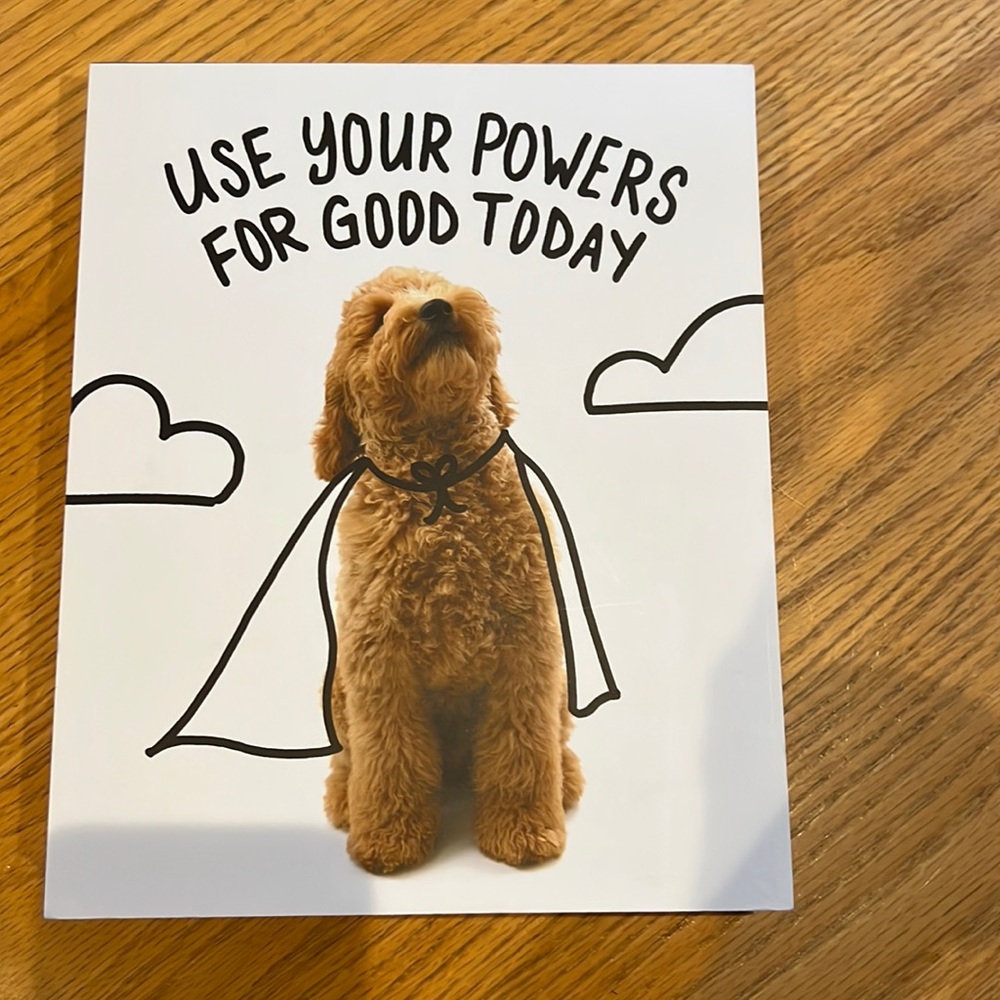 Hallmark Ashley Garcia wooden Labradoodle  picture
